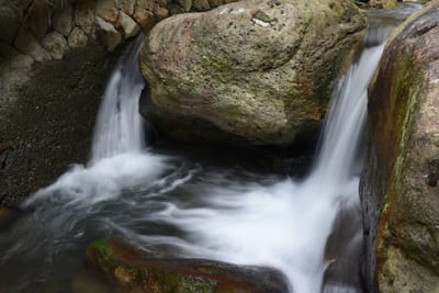 DSC_4014.JPG