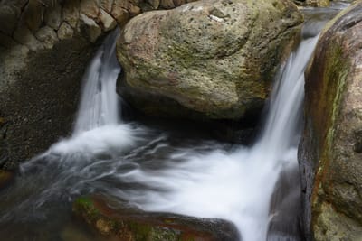 DSC_4015.JPG