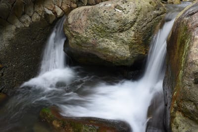 DSC_4016.JPG