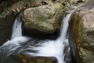 DSC_4017.JPG