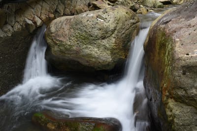 DSC_4018.JPG