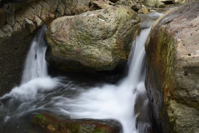 DSC_4019.JPG
