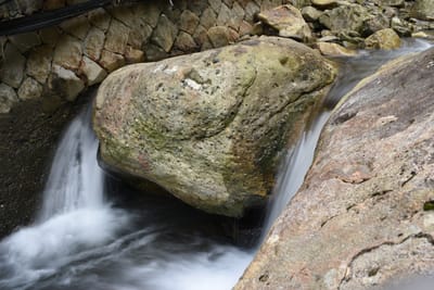 DSC_4020.JPG