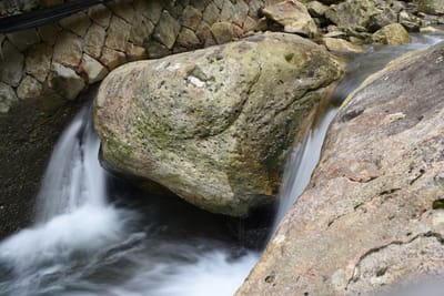 DSC_4021.JPG