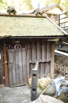 DSC_4022.JPG