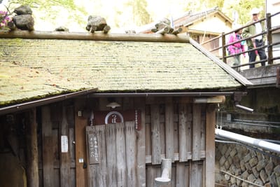 DSC_4023.JPG