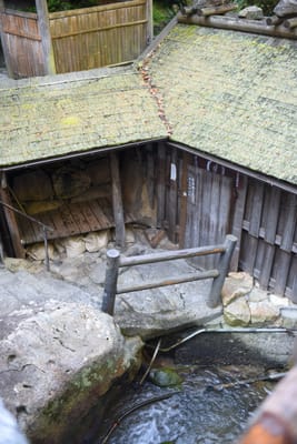 DSC_4026.JPG