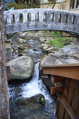 DSC_4027.JPG