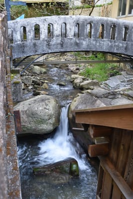 DSC_4028.JPG