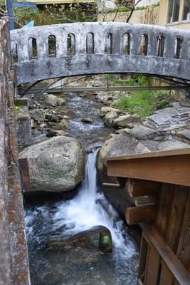 DSC_4029.JPG