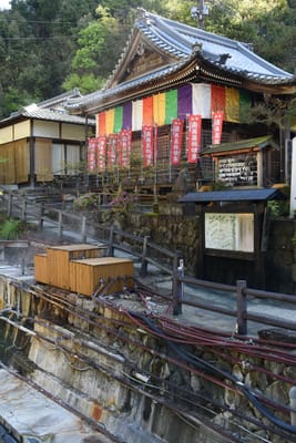 DSC_4035.JPG