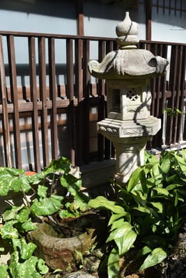 DSC_4049.JPG