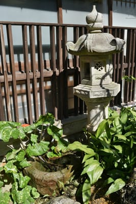 DSC_4050.JPG