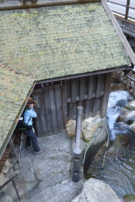 DSC_4061.JPG