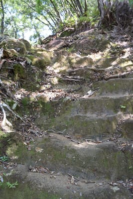 DSC_4067.JPG