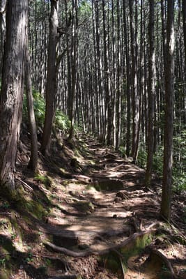 DSC_4068.JPG