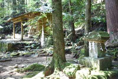 DSC_4071.JPG