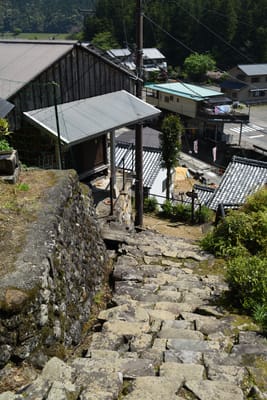 DSC_4078.JPG