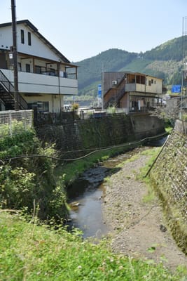 DSC_4082.JPG