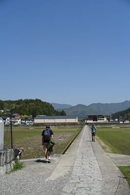 DSC_4089.JPG