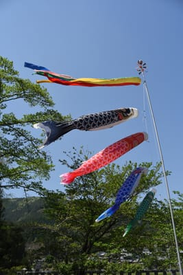 DSC_4091.JPG