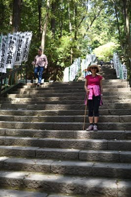 DSC_4102.JPG