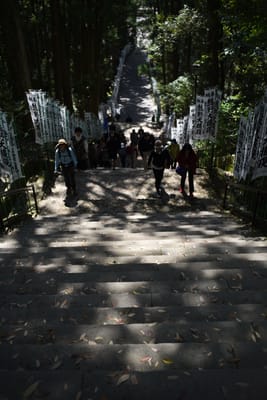 DSC_4105.JPG