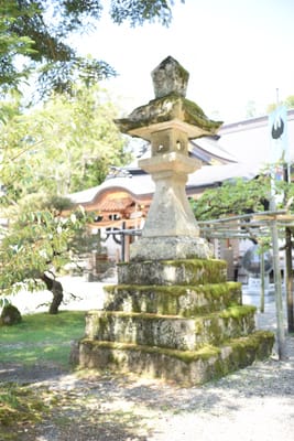 DSC_4108.JPG