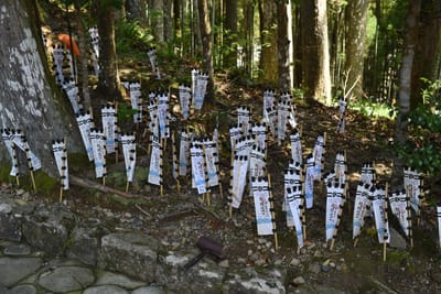 DSC_4109.JPG