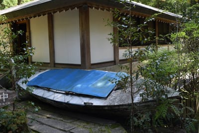 DSC_4110.JPG