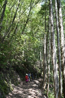 DSC_4123.JPG