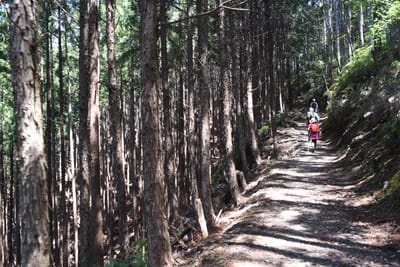 DSC_4124.JPG
