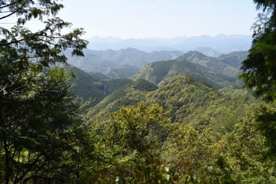 DSC_4127.JPG