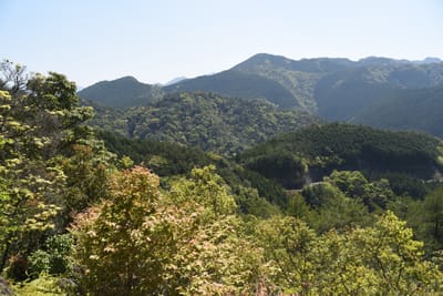 DSC_4128.JPG