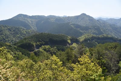 DSC_4129.JPG
