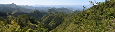 DSC_4130 Stitch.jpg