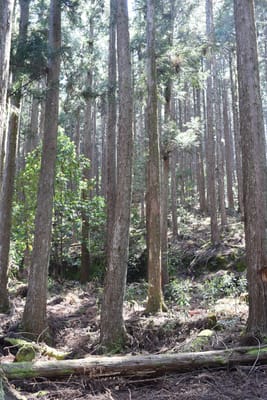 DSC_4143.JPG