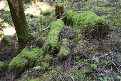 DSC_4144.JPG