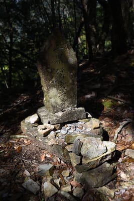 DSC_4146.JPG