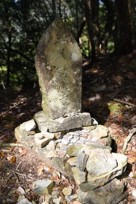 DSC_4147.JPG