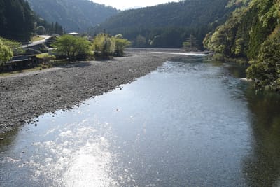 DSC_4157.JPG