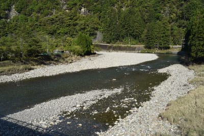 DSC_4160.JPG