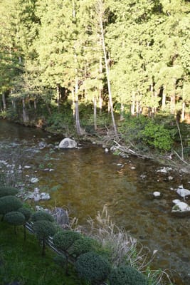 DSC_4162.JPG