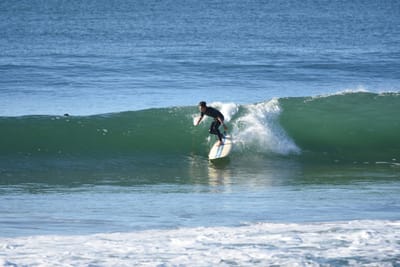 DSC_6942.JPG