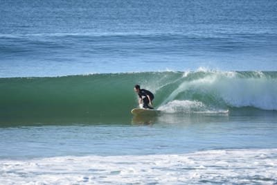 DSC_6946.JPG