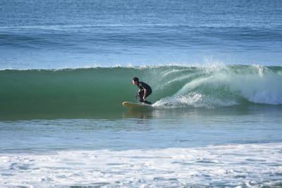 DSC_6947.JPG