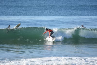 DSC_6952.JPG
