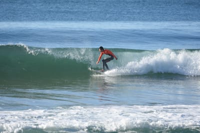 DSC_6954.JPG