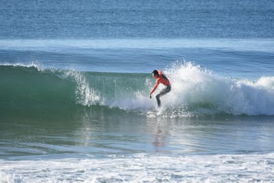 DSC_6955.JPG