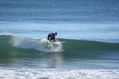 DSC_6956.JPG